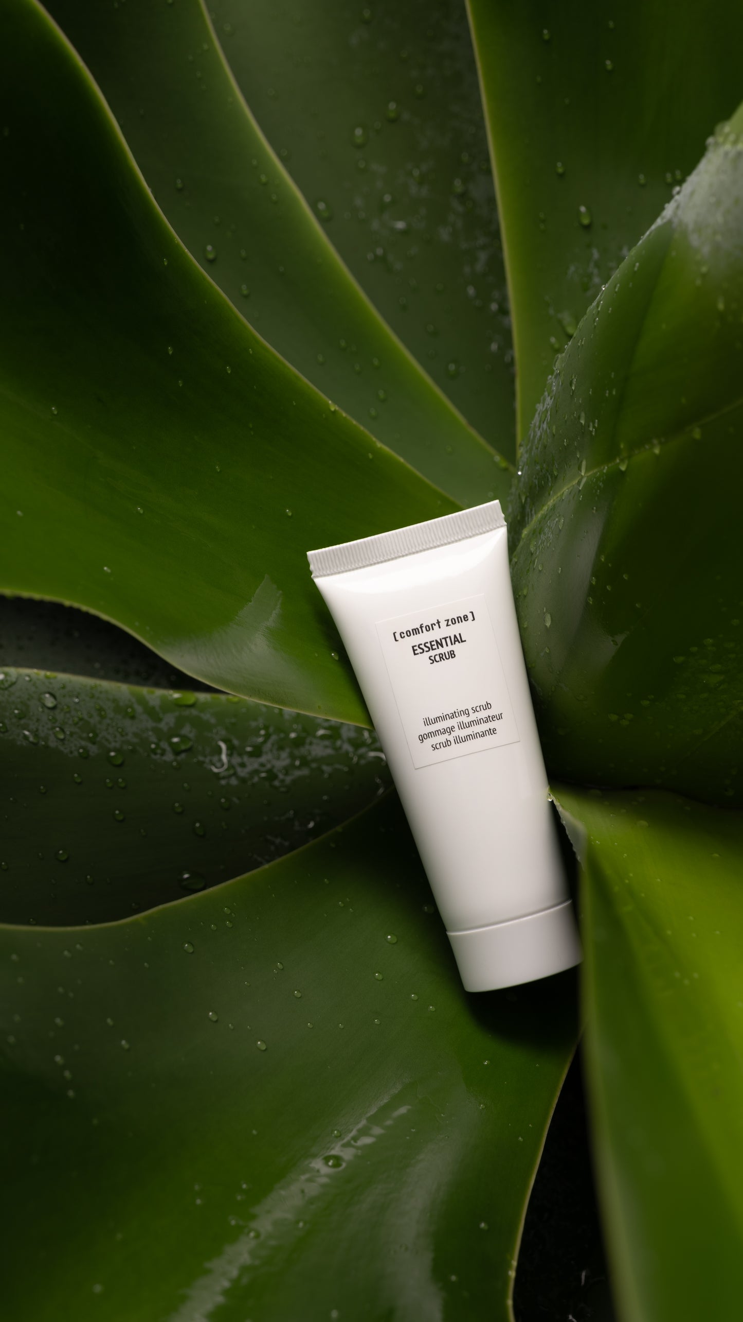 ESSENTIAL SCRUB 60ml