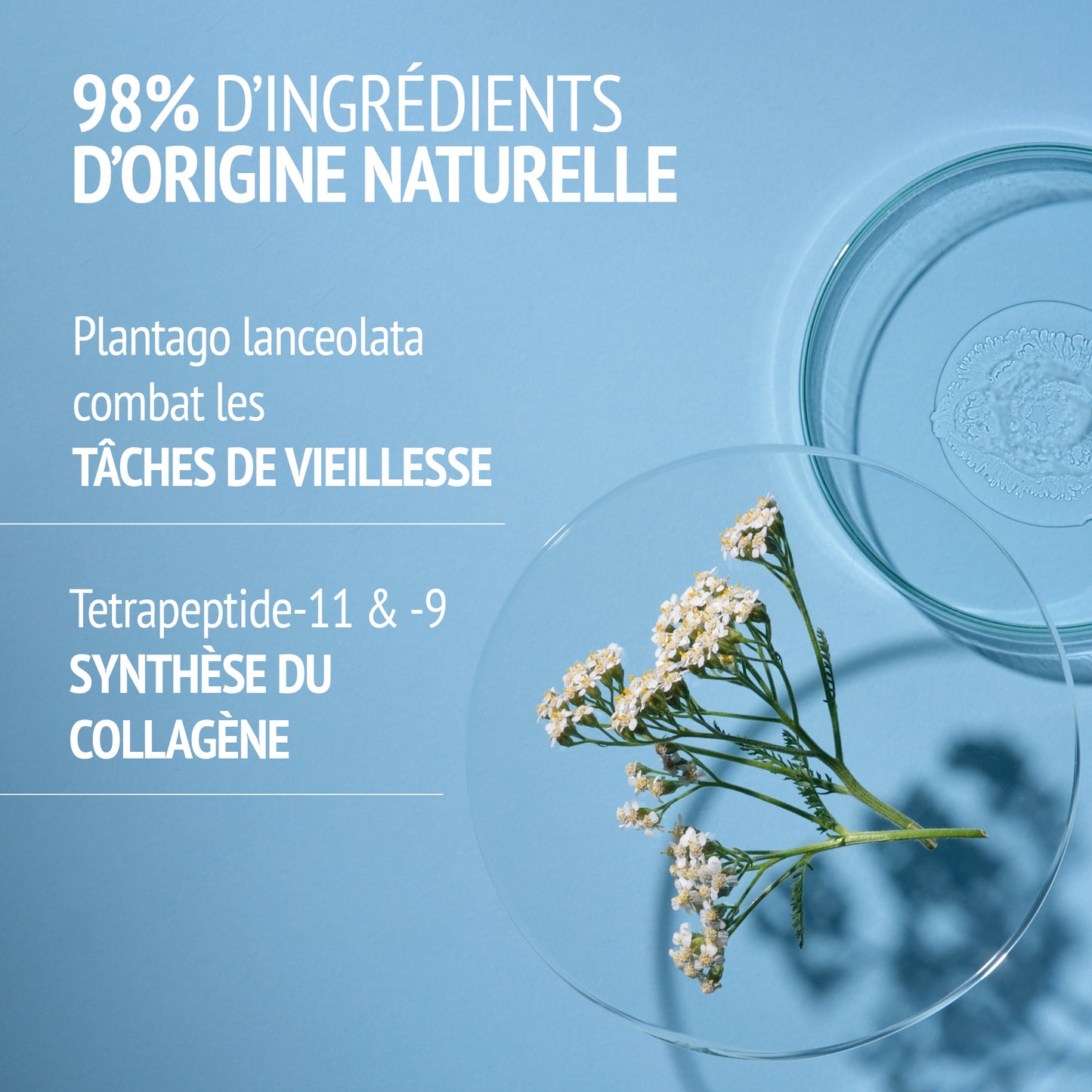 Crème anti-âge visage Sublime Skin – Comfort Zone 30 ml